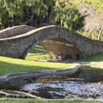 Healing and Justice: Two Paths, One Practice